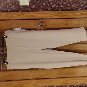 Versatile Beige Time & Tru Tapered Pants NWT XXXL (22)